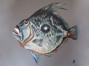 Georgie Baskerville Artist Sealife Gallery Image