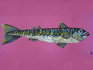 Georgie Baskerville Artist Sealife Gallery Image